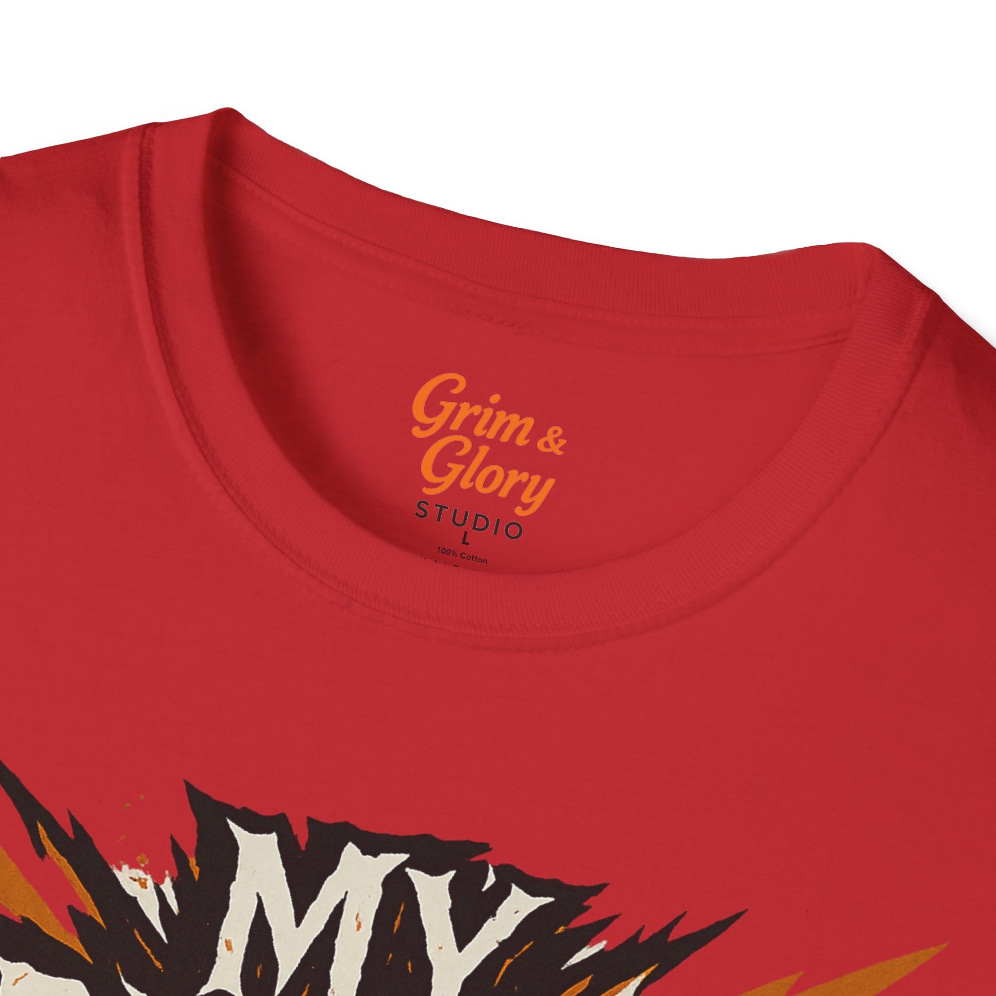 Sarcastic, Rude, Graphic Tee, Quirky T-Shirt for Humor Lovers, Birthday Present
